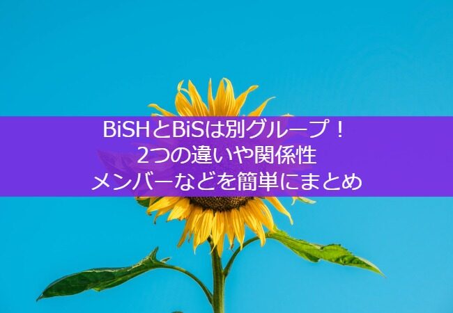 BiSHとBiSは別グループ！2つの違いや関係性・メンバーなどを簡単にまとめ
