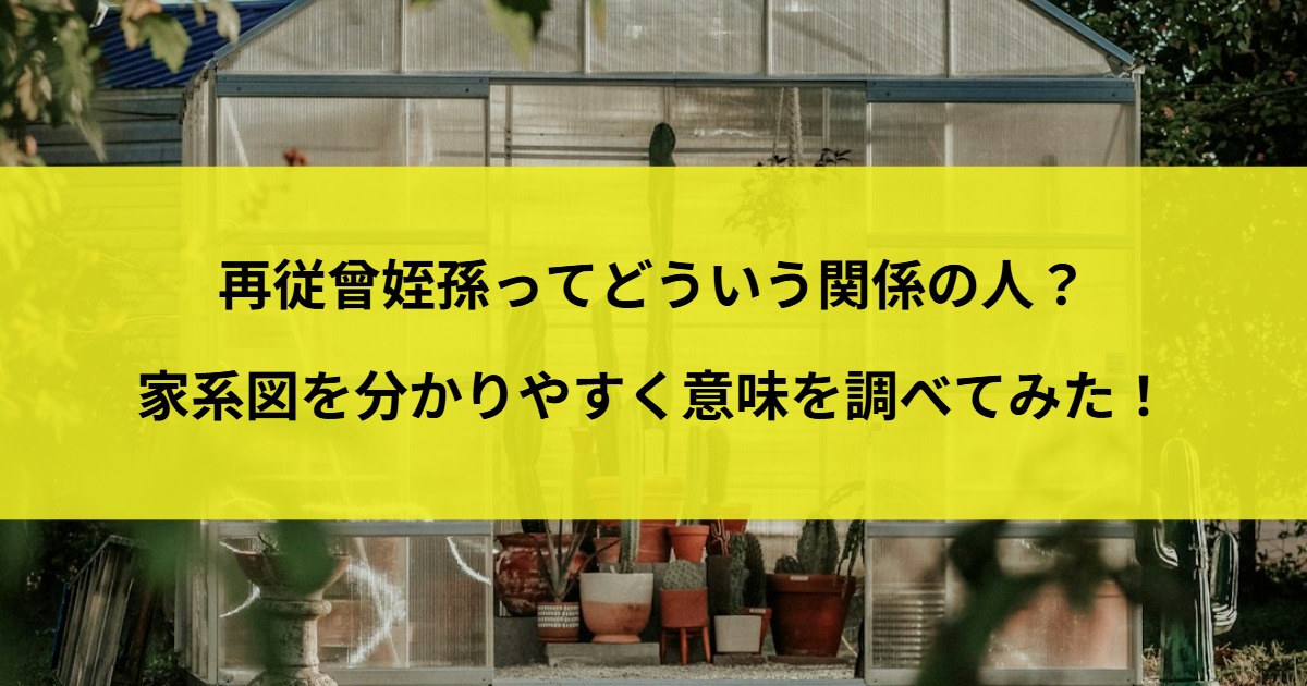 再従曾姪孫ってどういう関係の人？家系図を分かりやすく意味を調べてみた！