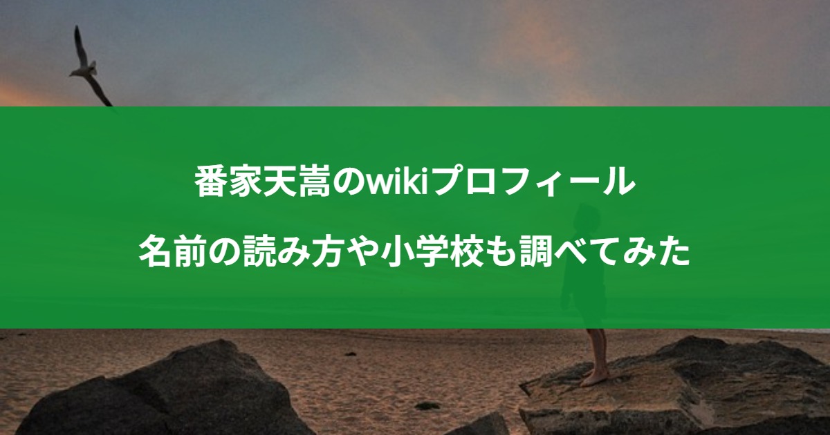 番家天嵩のwikiプロフィール｜名前の読み方や小学校も調べてみた