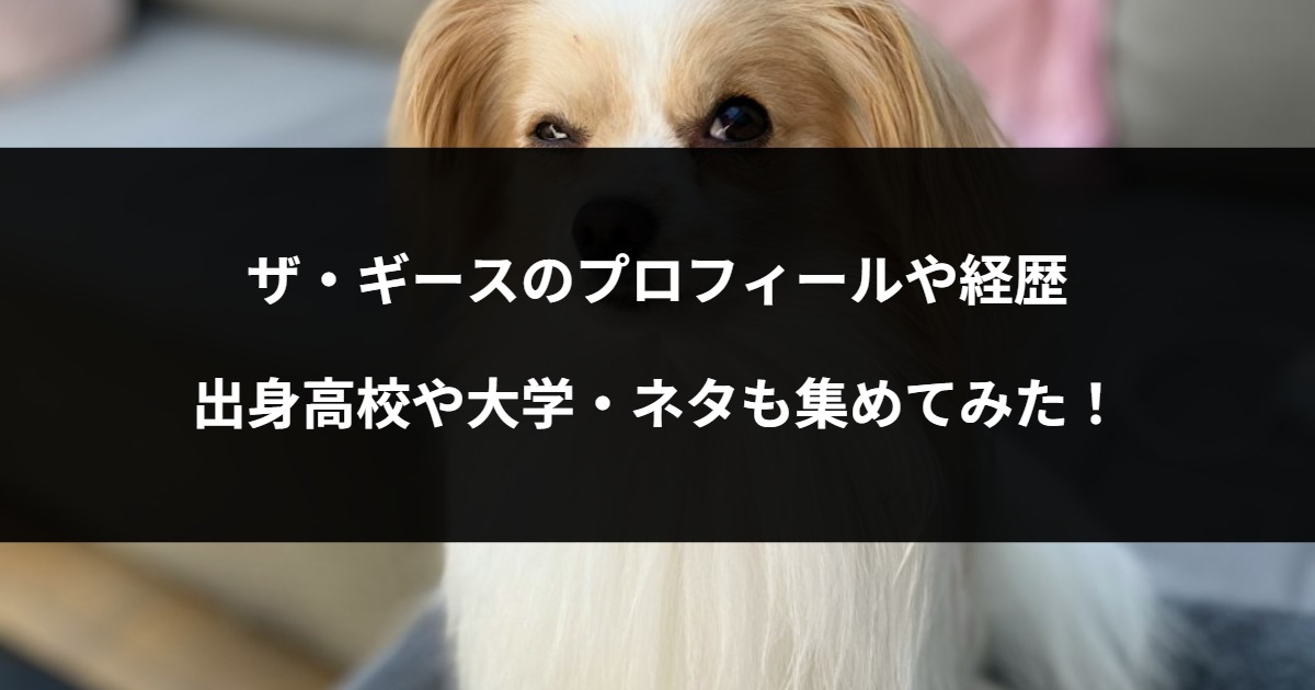 ザ・ギースのプロフィールや経歴・出身高校や大学・ネタも集めてみた！