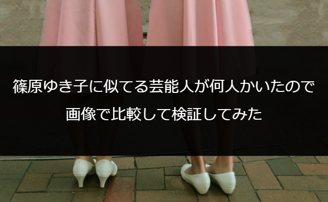 篠原ゆき子に似てる芸能人が何人かいたので画像で比較して検証してみた