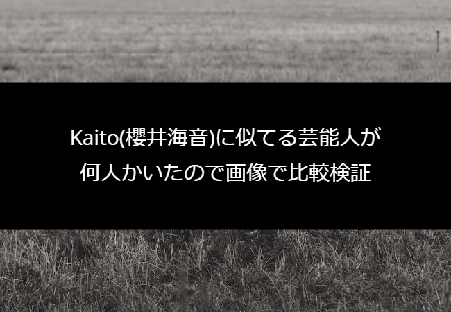 kaito_sokkuri