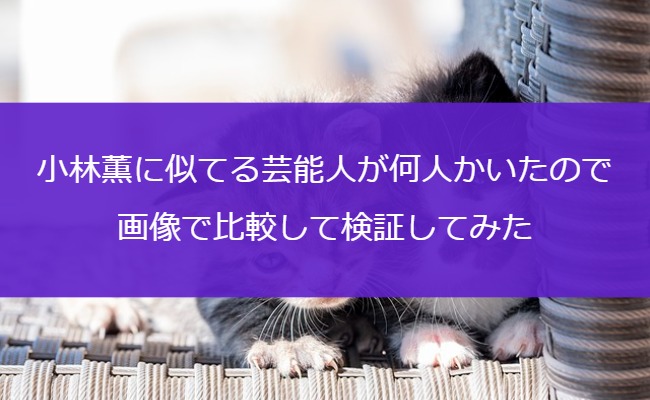 小林薫に似てる芸能人が何人かいたので画像で比較して検証してみた