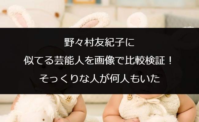 野々村友紀子に似てる芸能人を画像で比較検証！そっくりな人が何人もいた