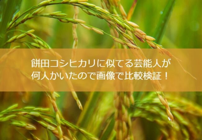 餅田コシヒカリに似てる芸能人が何人かいたので画像で比較検証！