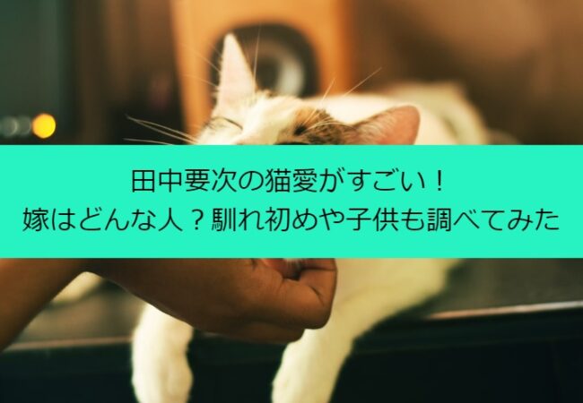 田中要次の猫愛がすごい！嫁はどんな人？馴れ初めや子供も調べてみた