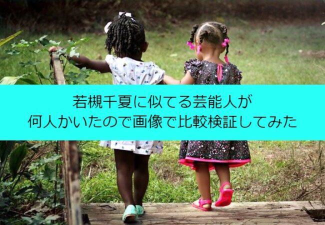 若槻千夏に似てる芸能人が何人かいたので画像で比較検証してみた