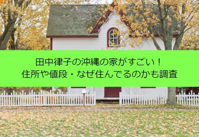 田中律子の沖縄の家がすごい！住所や値段・なぜ住んでるのかも調査