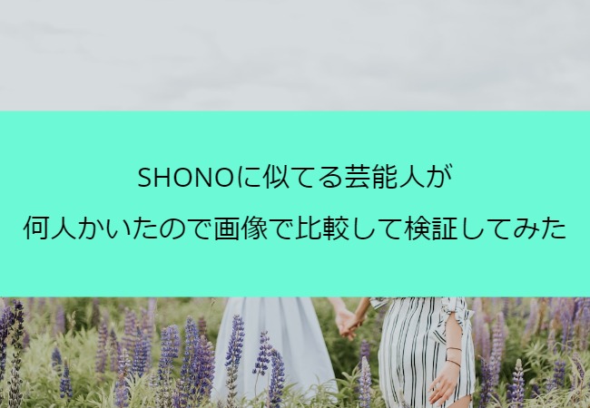 SHONO_sokkuri