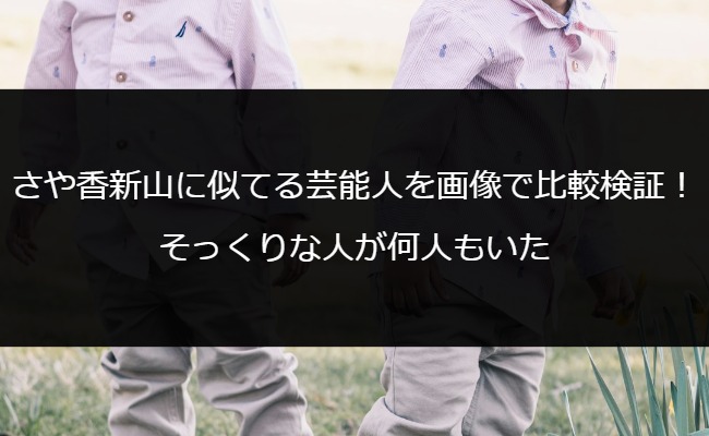 さや香新山に似てる芸能人を画像で比較検証！そっくりな人が何人もいた