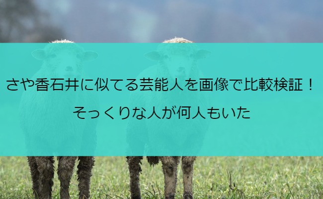 さや香石井に似てる芸能人を画像で比較検証！そっくりな人が何人もいた