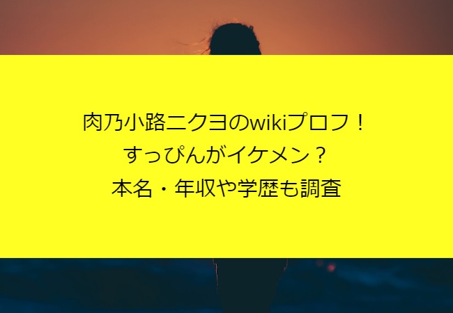 nikunokojinikuyo_career