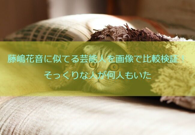 藤嶋花音に似てる芸能人を画像で比較検証！そっくりな人が何人もいた