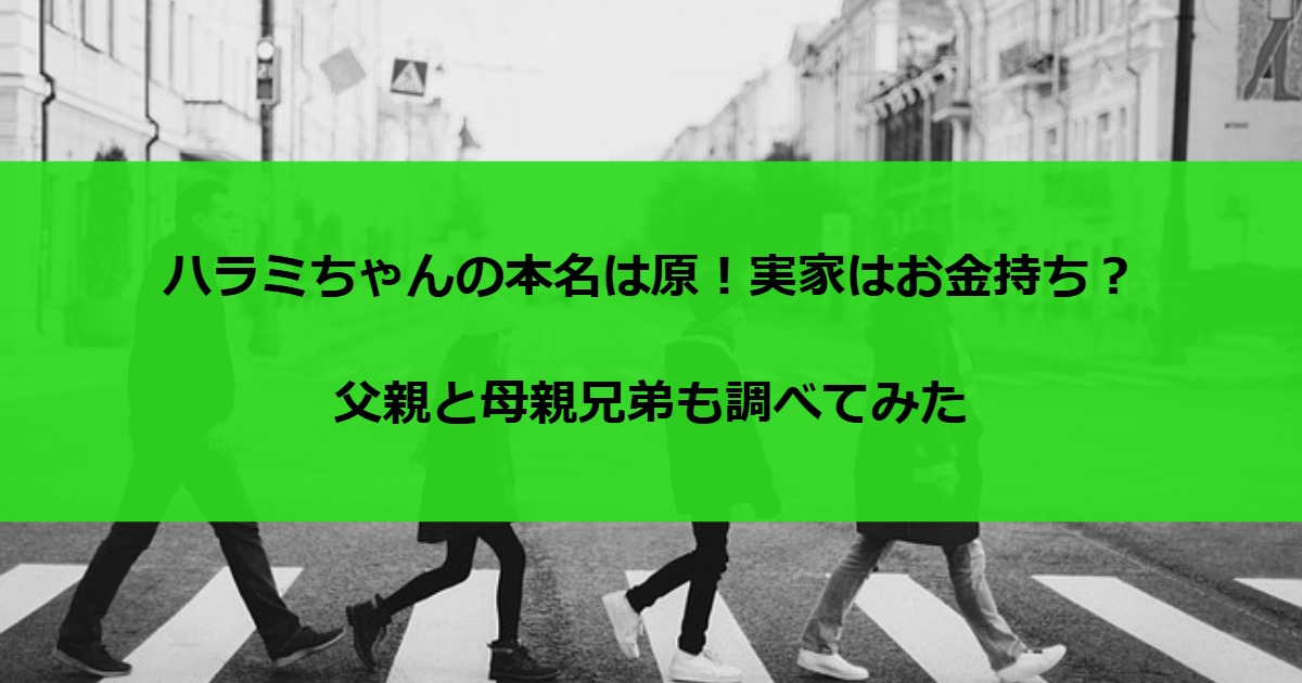 ハラミちゃんの本名は原！実家はお金持ち？父親と母親兄弟も調べてみた