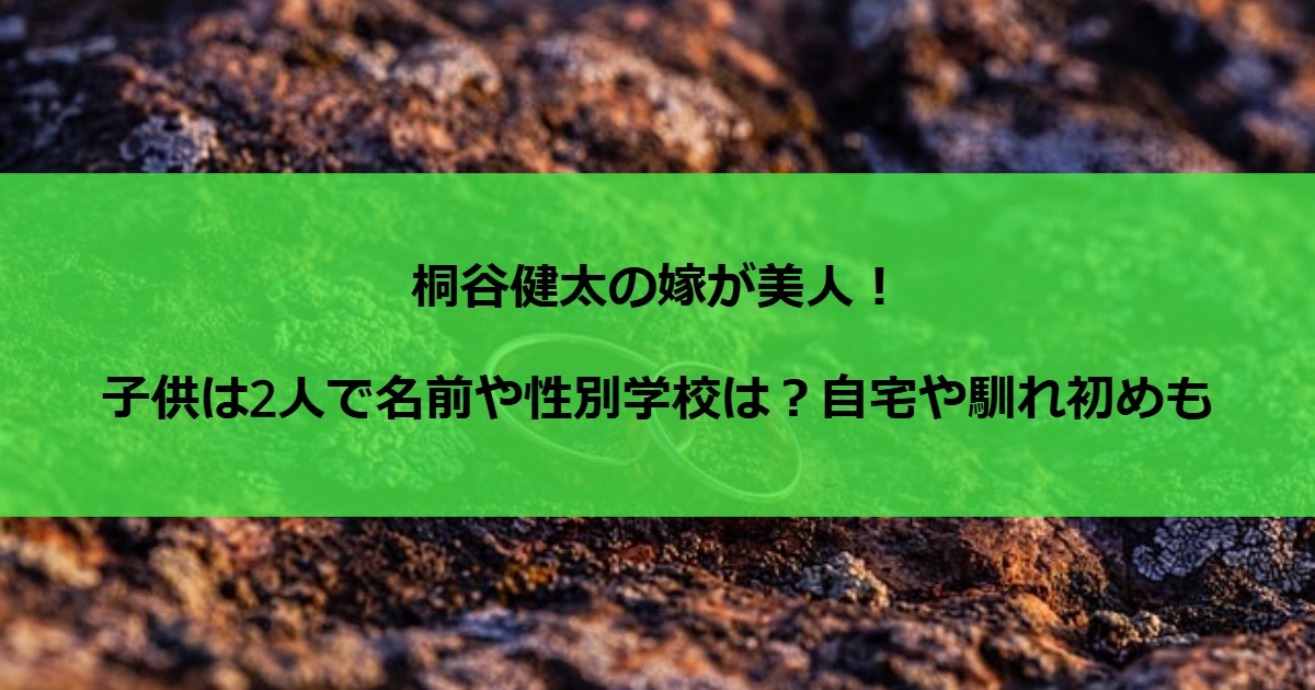 桐谷健太の嫁が美人！子供は2人で名前や性別学校は？自宅や馴れ初めも