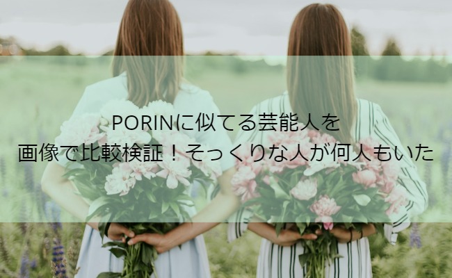 PORIN_sokkuri