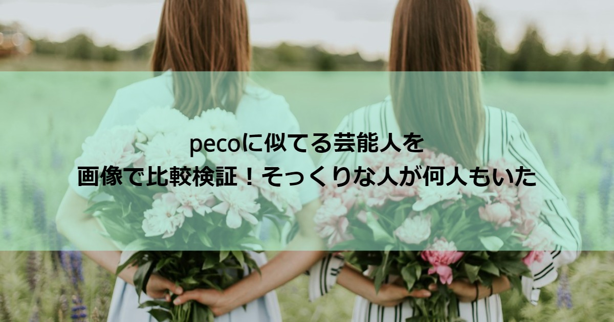 peco_sokkuri