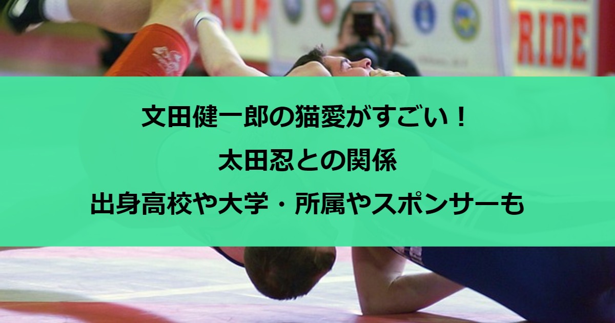 文田健一郎の猫愛がすごい！太田忍との関係｜出身高校や大学・所属やスポンサーも