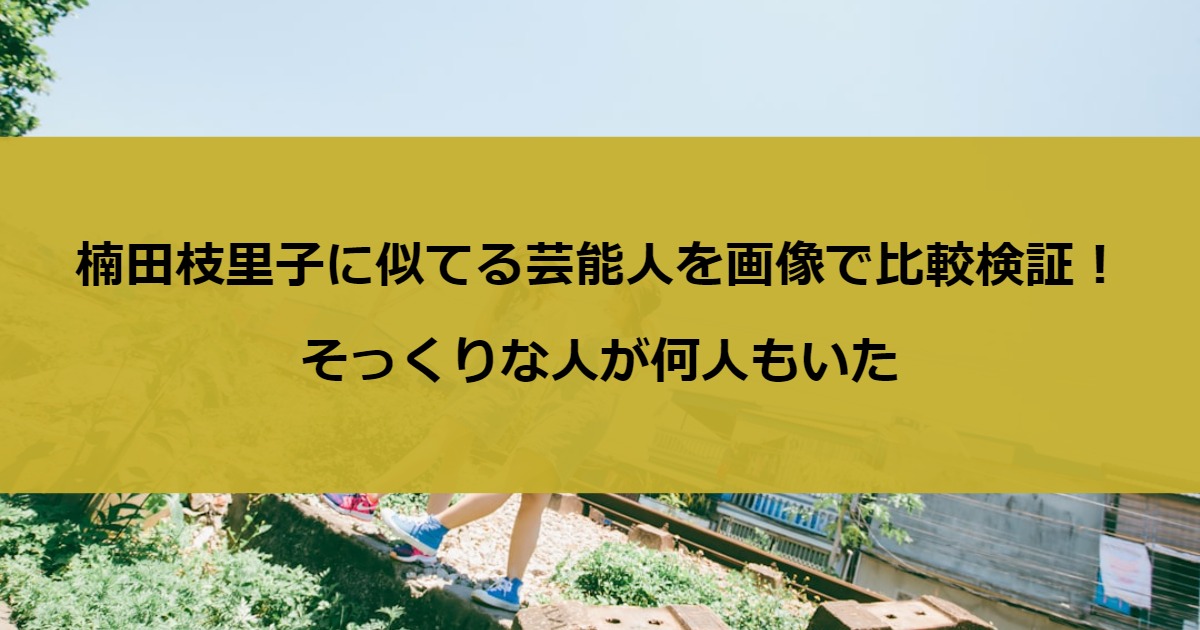 楠田枝里子に似てる芸能人を画像で比較検証！そっくりな人が何人もいた