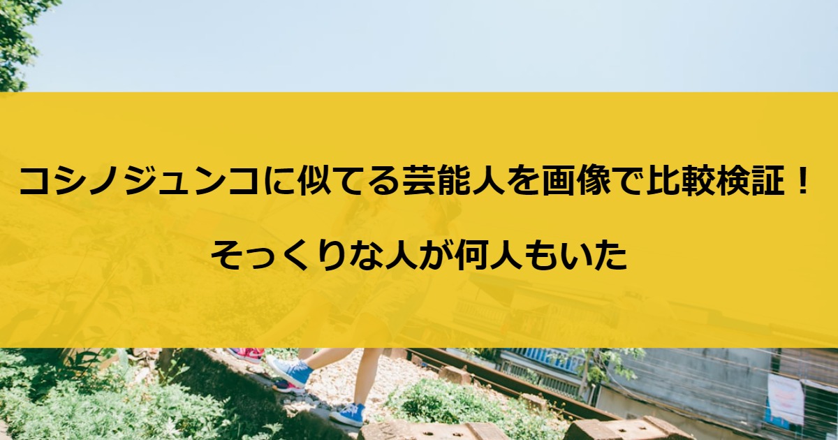 コシノジュンコに似てる芸能人を画像で比較検証！そっくりな人が何人もいた