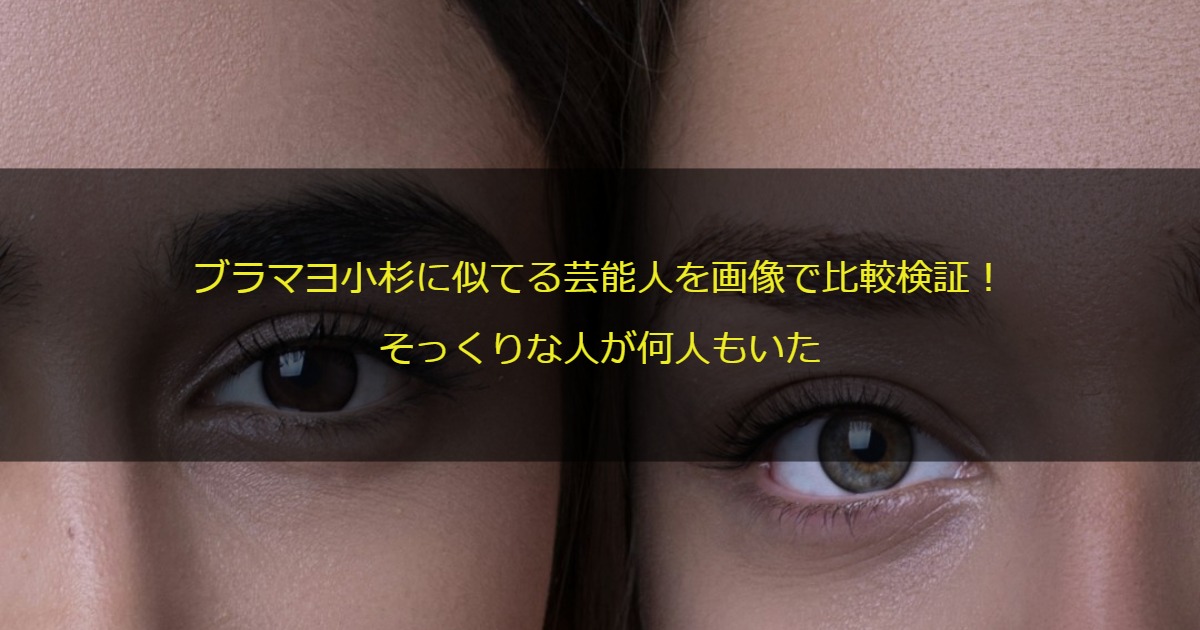 ブラマヨ小杉に似てる芸能人を画像で比較検証！そっくりな人が何人もいた