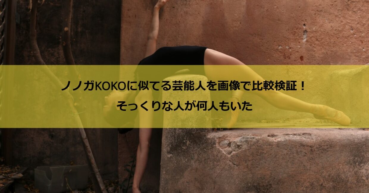 ノノガKOKOに似てる芸能人を画像で比較検証！そっくりな人が何人もいた