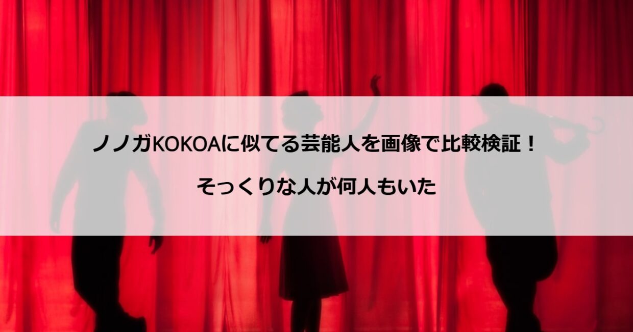 ノノガKOKOAに似てる芸能人を画像で比較検証！そっくりな人が何人もいた