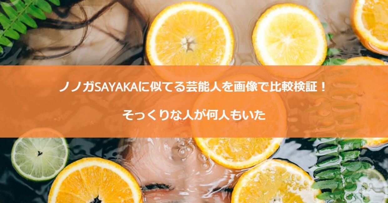 ノノガSAYAKAに似てる芸能人を画像で比較検証！そっくりな人が何人もいた