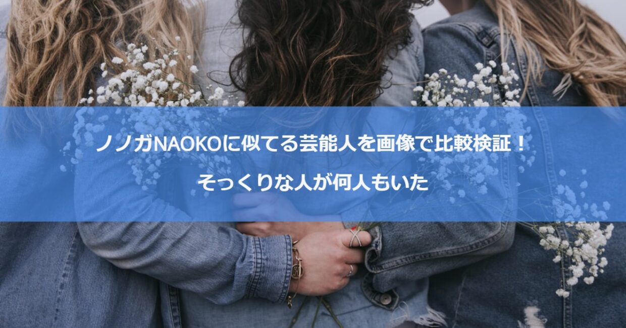 ノノガNAOKOに似てる芸能人を画像で比較検証！そっくりな人が何人もいた