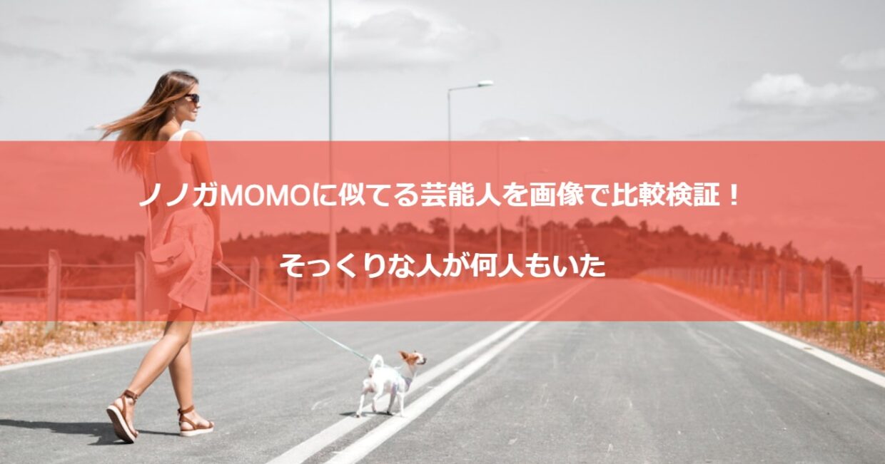 ノノガMOMOに似てる芸能人を画像で比較検証！そっくりな人が何人もいた