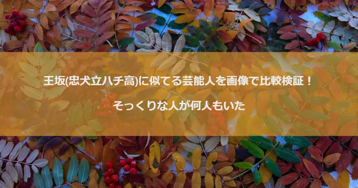 王坂(忠犬立ハチ高)に似てる芸能人を画像で比較検証！そっくりな人が何人もいた