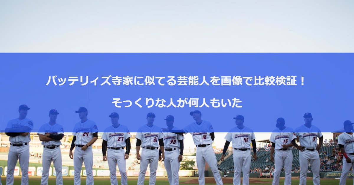 バッテリィズ寺家に似てる芸能人を画像で比較検証！そっくりな人が何人もいた