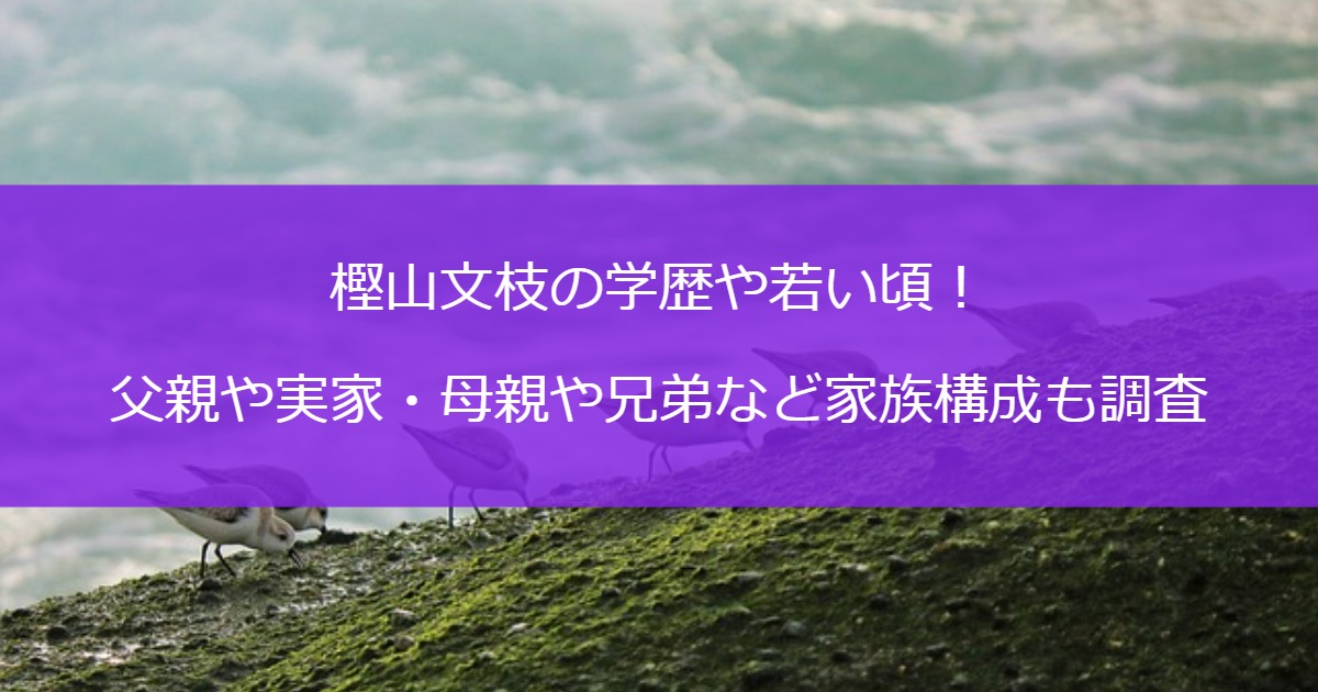 樫山文枝の学歴や若い頃！父親や実家・母親や兄弟など家族構成も調査