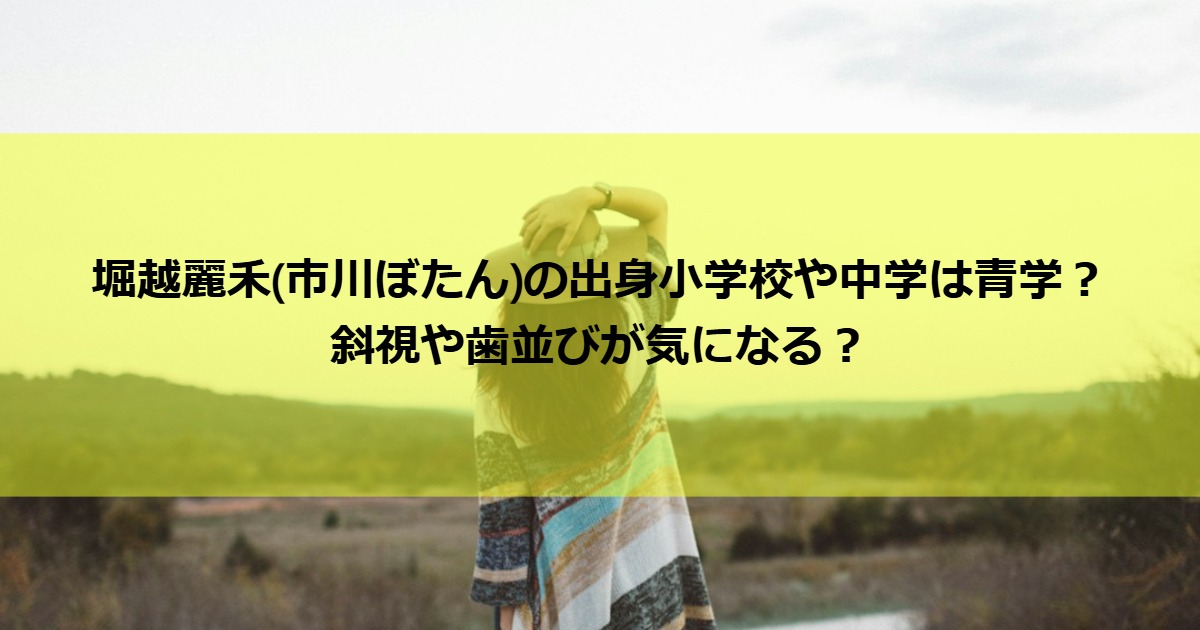 horikoshireika_career