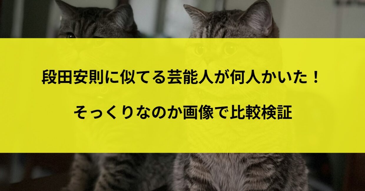 段田安則に似てる芸能人が何人かいた！そっくりなのか画像で比較検証