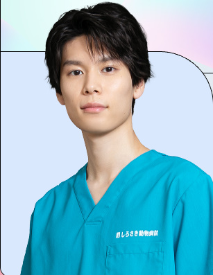 【初恋DOGs】相関図や登場人物・キャストの関連記事まとめ！