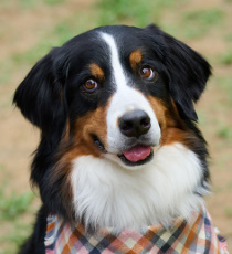 【リベンジ・スパイ】相関図や登場人物・キャストの関連記事まとめ！