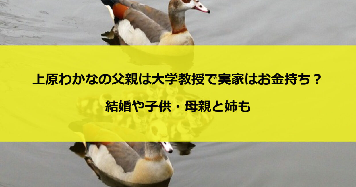 上原わかなの父親は大学教授で実家はお金持ち？結婚や子供・母親と姉も