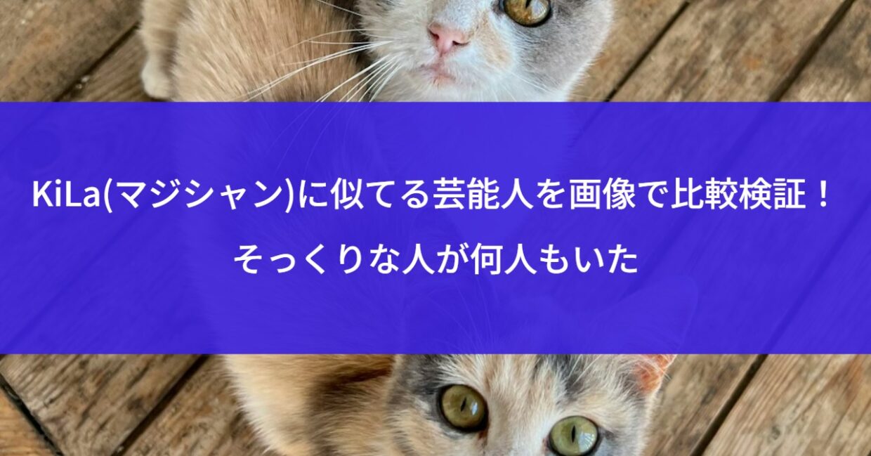 KiLa(マジシャン)に似てる芸能人を画像で比較検証！そっくりな人が何人もいた