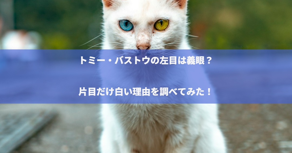 トミー・バストウの左目は義眼？片目だけ白い理由を調べてみた！